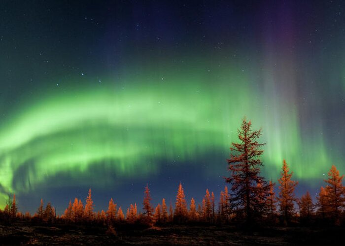 Sky Greeting Card featuring the photograph Northern Lights by Andrey Snegirev