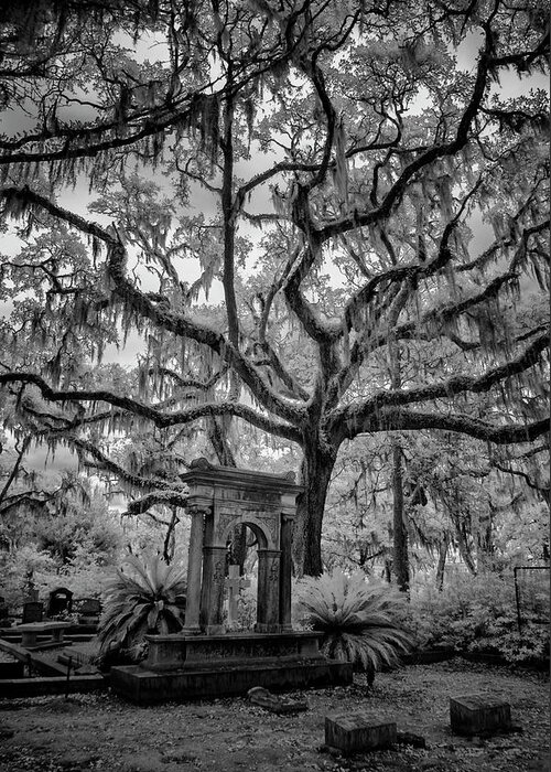 Cemetary Greeting Card featuring the photograph Oak Cemetary II #1 by Jon Glaser
