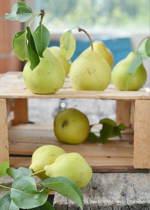 Outdoors Greeting Card featuring the photograph Pears #1 by Zoryana Ivchenko