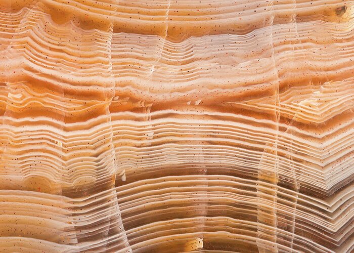 Abstract Greeting Card featuring the photograph Pilbara Agate, Close #1 by Mark Windom