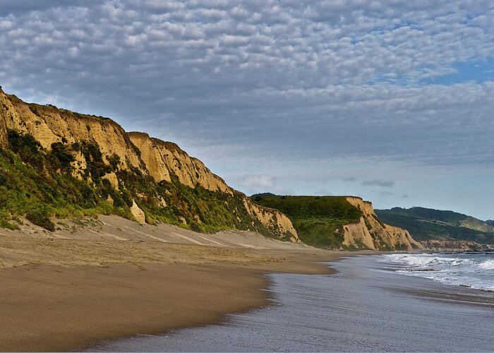 Water's Edge Greeting Card featuring the photograph Point Reyes National Seashore #1 by Enrique R. Aguirre Aves