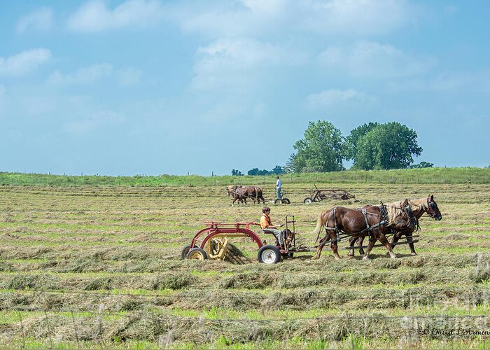 Farm Greeting Card featuring the photograph Raking Hay #1 by David Arment
