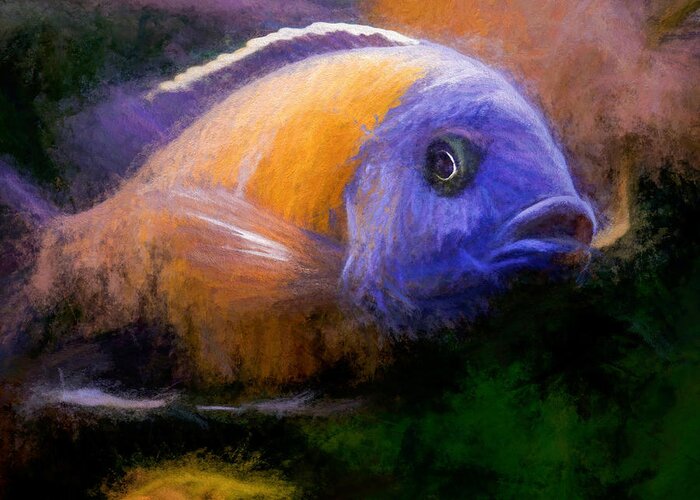 African Cichlid Greeting Card featuring the digital art Red Fin Borleyi Cichlid #1 by Don Northup