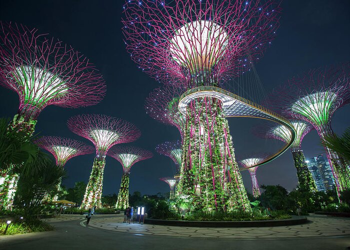 Outdoors Greeting Card featuring the photograph Supertrees In Gardens By The Bay #1 by Eternity In An Instant