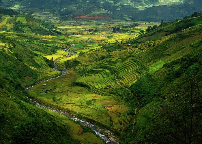 Rice Paddy Greeting Card featuring the photograph Terraced Rice Fields - Vietnam #1 by @chinnyplus
