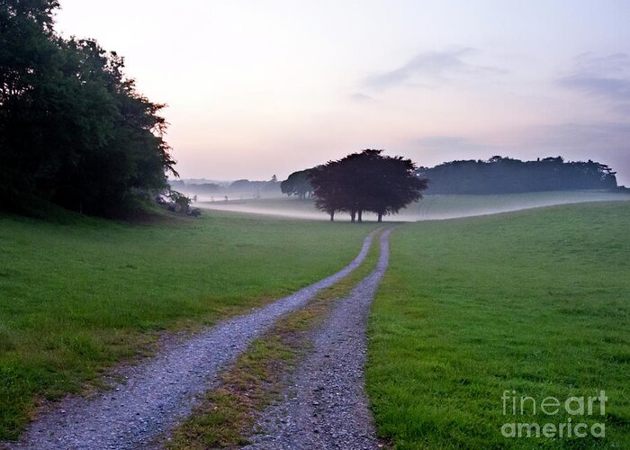 Tree Greeting Card featuring the photograph Track Through Misty Field With Copper Beeches, Gower, South Wales by 
