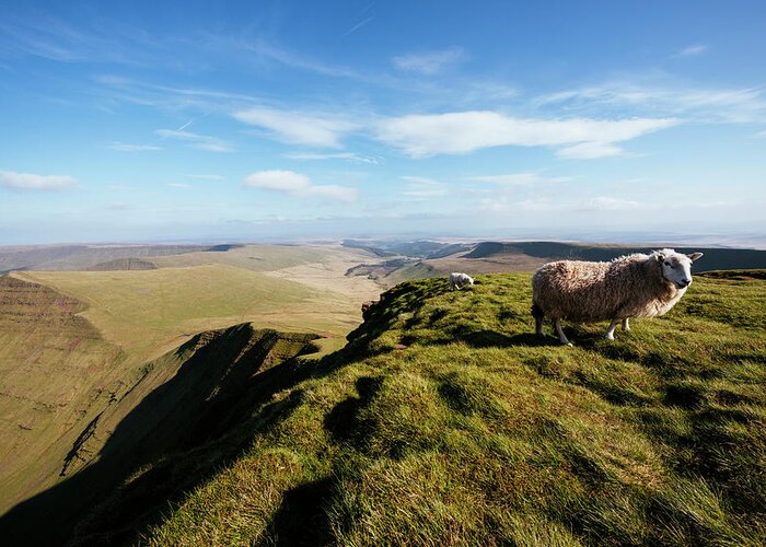 Animal Greeting Card featuring the digital art View From Pen Y Fan, Brecon Beacons, Powys, Wales, Uk #1 by Ben Pipe Photography