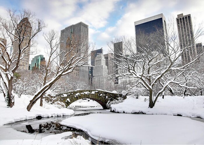 Snow Greeting Card featuring the photograph Winter In New York City #1 by Denistangneyjr