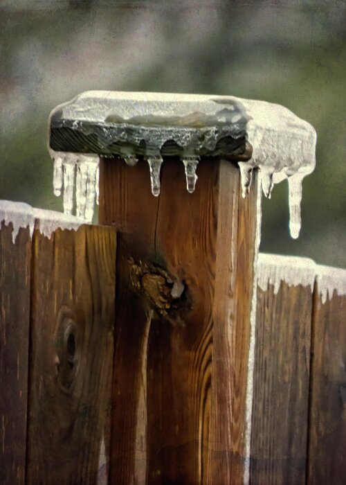 Winter Spectacular - Fence Post Greeting Card featuring the photograph Winter Spectacular - Fence Post #1 by Leslie Montgomery