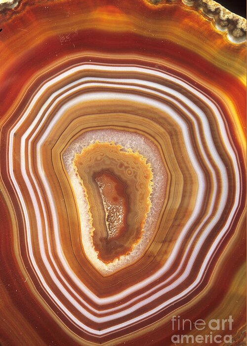 Agate Greeting Card featuring the photograph Agate by European School