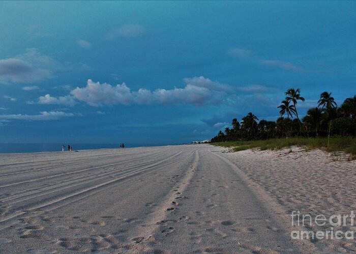 Naples Florida Greeting Card featuring the photograph Naples Beach #15 by Donn Ingemie