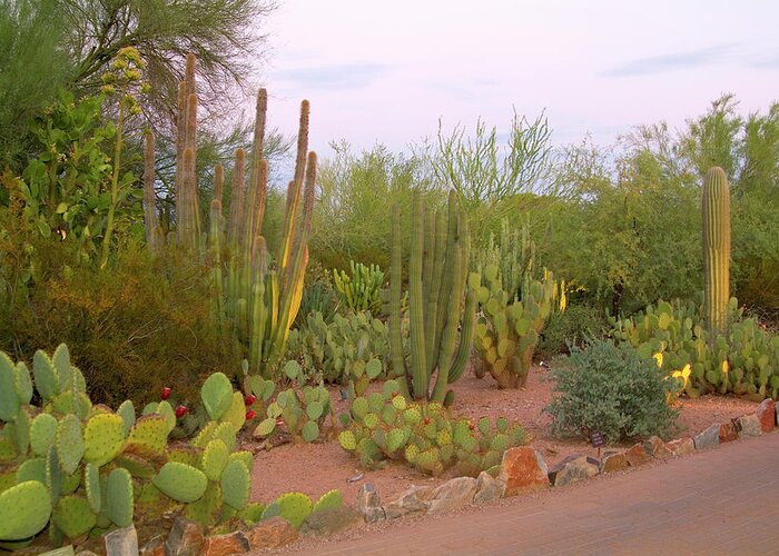 Estock Greeting Card featuring the digital art Arizona, Phoenix, Desert, Cactus #2 by J.b. Grant