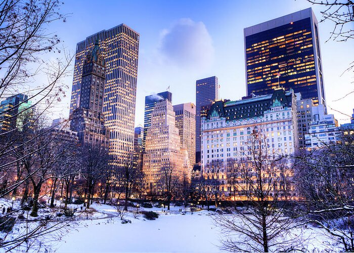 Scenics Greeting Card featuring the photograph Central Park In Winter #2 by Pawel.gaul