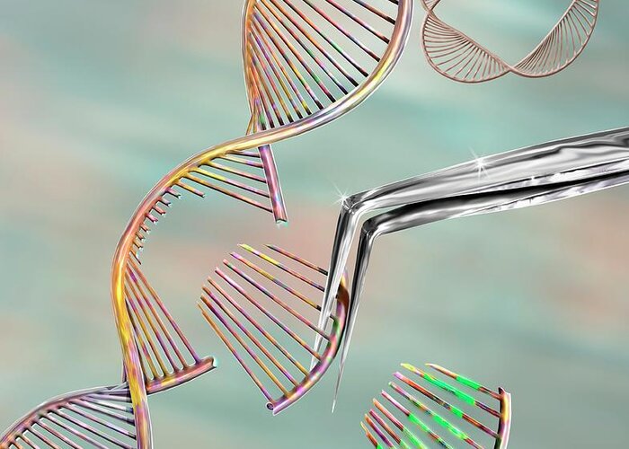 Artwork Greeting Card featuring the photograph Crispr Gene Editing #2 by Keith Chambers/science Photo Library