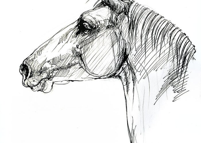 Horse Greeting Card featuring the drawing Horse head #2 by Ang El