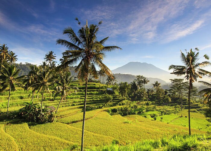 Tranquility Greeting Card featuring the photograph Indonesia, Bali, Rice Fields And Agung #2 by Michele Falzone