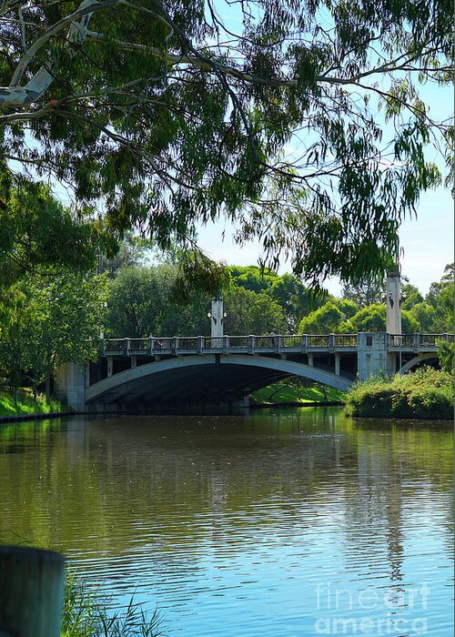 Adelaide Greeting Card featuring the photograph King William Road Bridge, Adelaide, South Australia. #2 by Milleflore Images