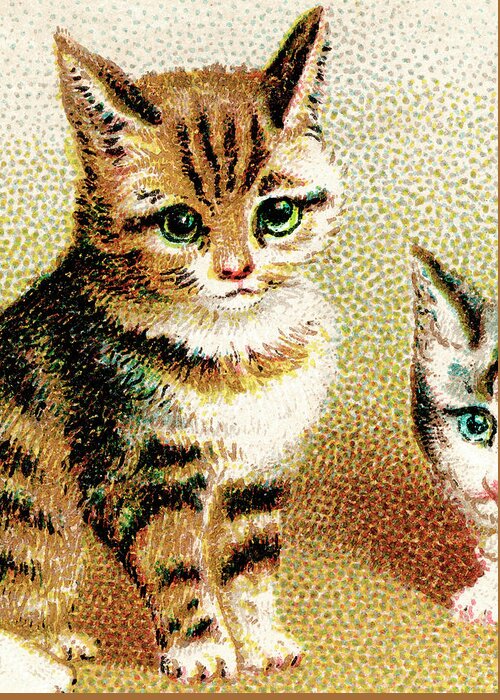 Animal Greeting Card featuring the drawing Kitty #2 by CSA Images