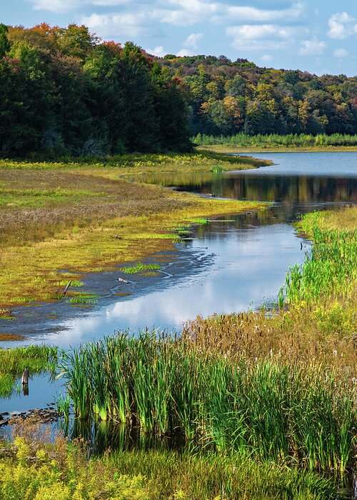 Allegheny Plateau Greeting Card featuring the photograph Lower Woods Pond #2 by Michael Gadomski