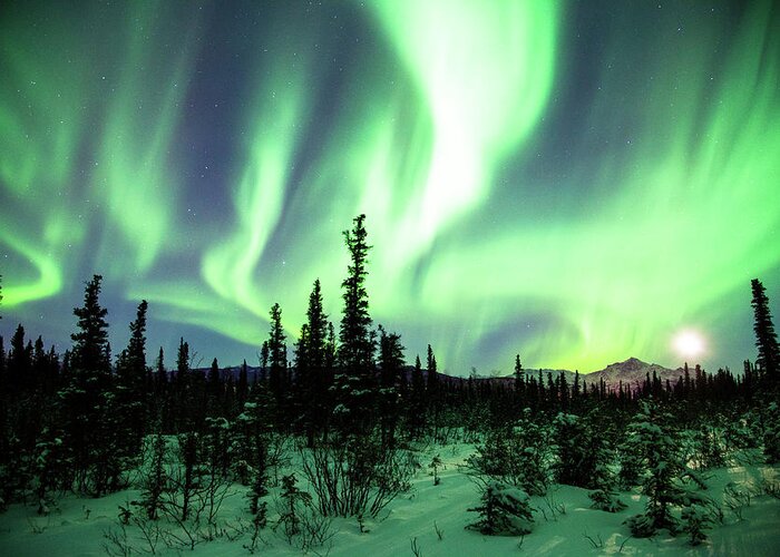 Tranquility Greeting Card featuring the photograph Northern Lights #2 by Daniel A. Leifheit