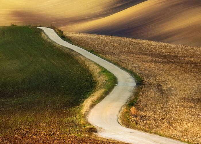 Landscape Greeting Card featuring the photograph Road #2 by Krzysztof Browko