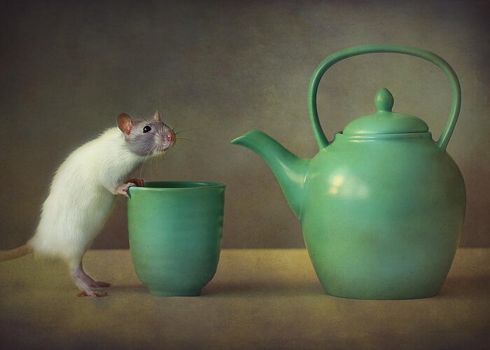 Rat Greeting Card featuring the photograph Snoozy #2 by Ellen Van Deelen