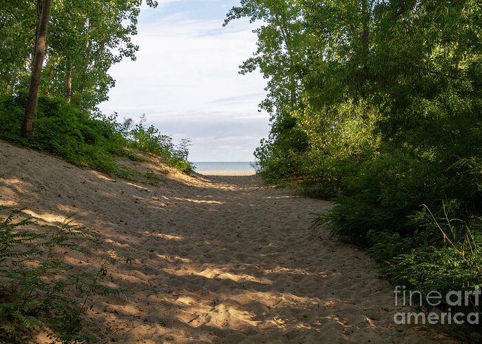 Sand Greeting Card featuring the photograph To the Beach #2 by William Norton