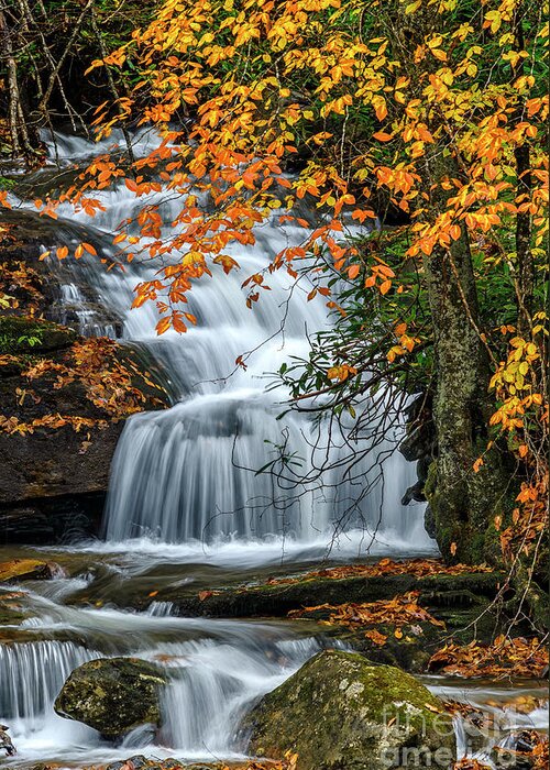 Waterfall Greeting Card featuring the photograph Waterfall and Fall Color #2 by Thomas R Fletcher