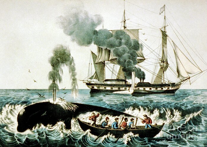 Fishing Industry Greeting Card featuring the photograph Whale Hunting #2 by Library Of Congress/science Photo Library