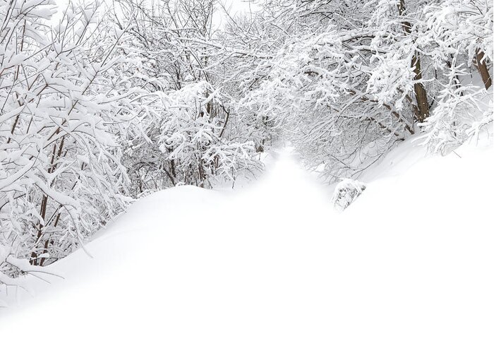 Scenics Greeting Card featuring the photograph Winter #2 by Macroworld