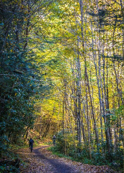 Mountain Bike Greeting Card featuring the photograph Views Along Virginia Creeper Trail During Autumn #20 by Alex Grichenko