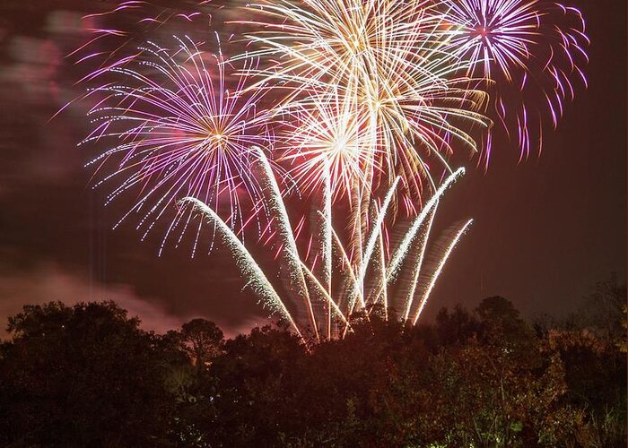 Happy New Year 2019 Fireworks Gainesville Florida Depot Park Greeting Card featuring the photograph 2019 by Farol Tomson