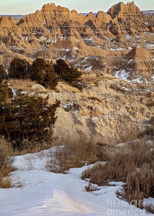 Badlands National Park Greeting Card featuring the photograph Badlands National Park In Winter #3 by Jim West/science Photo Library