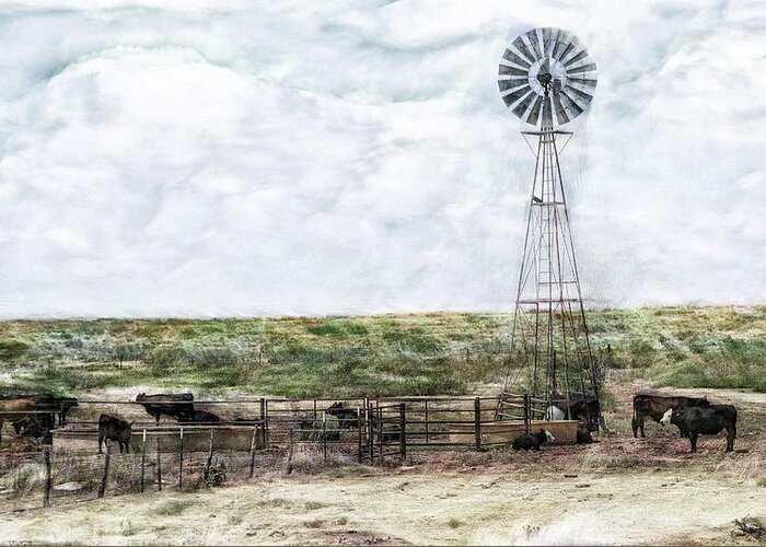 Classic Cattle Ii Greeting Card featuring the digital art Classic Cattle II by Don Northup