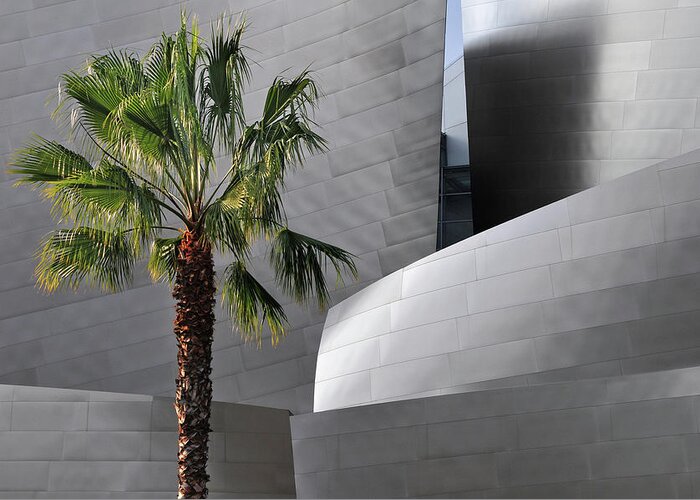 California Greeting Card featuring the photograph Disney Concert Hall #3 by Mitch Diamond