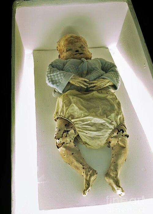Mummies of Guanajuato Postcard Vintage Mexican Mexico Travel