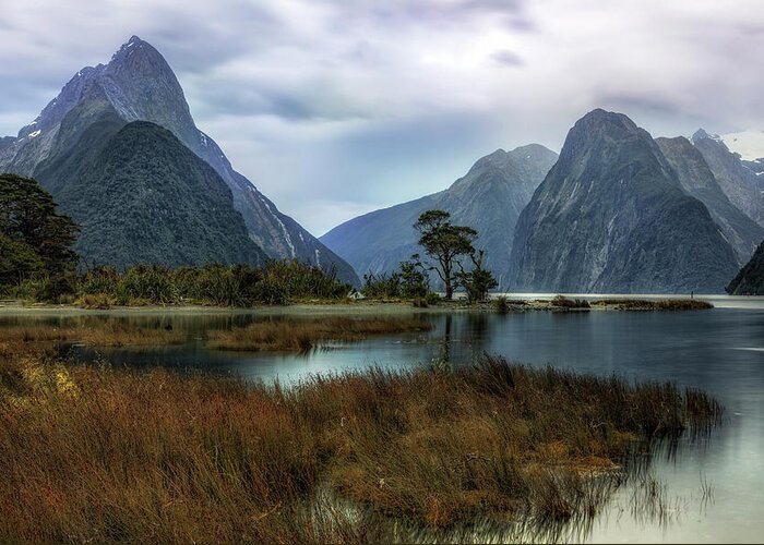 Milford Sound Greeting Card featuring the photograph Milford Sound - New Zealand #3 by Joana Kruse