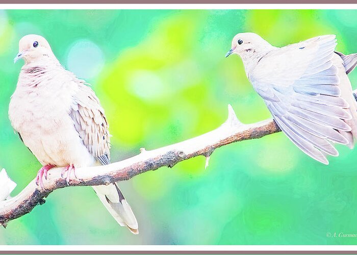 Taxonomy Greeting Card featuring the photograph Mourning Dove Pair #3 by A Macarthur Gurmankin