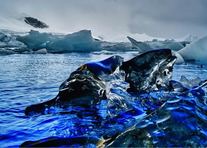 Scenics Greeting Card featuring the photograph Antarctica #4 by Michael Leggero