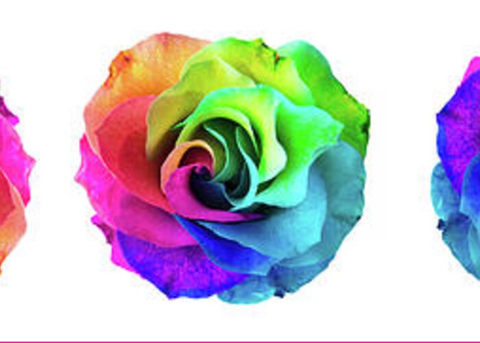 Cut Out Greeting Card featuring the digital art Closeup of a rainbow colored rose in full bloom #4 by Amy Cicconi