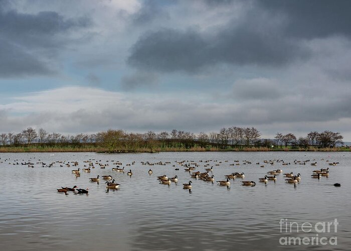 Airedale Greeting Card featuring the photograph Redcar Tarn in Keighley #4 by Mariusz Talarek