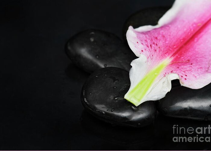 Spa Greeting Card featuring the photograph Spa concept with lily petal by Jelena Jovanovic