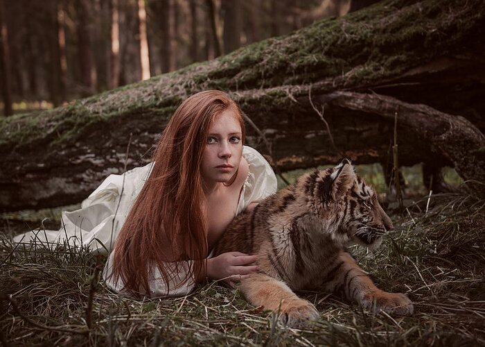 Tiger Greeting Card featuring the photograph * #60 by Olga Barantseva