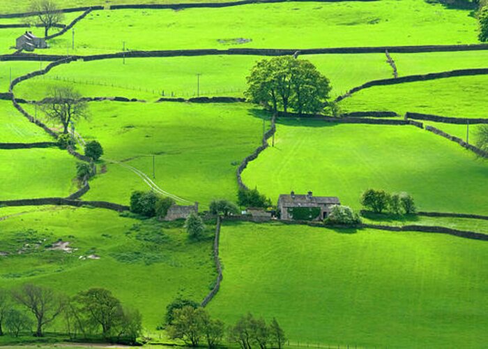 View Across The Yorkshire Dales Near Reeth In Swaledale Greeting Card featuring the photograph 803-42 by Robert Harding Picture Library