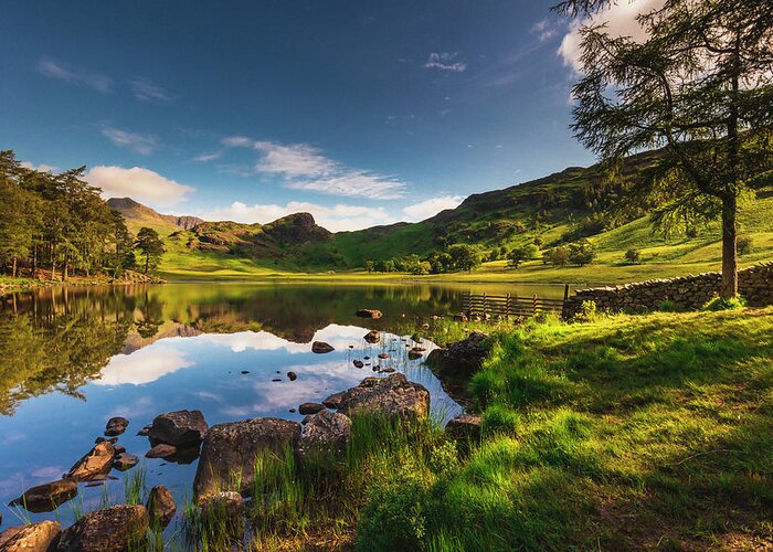 Estock Greeting Card featuring the digital art United Kingdom, England, Cumbria, Great Britain, Lake District, British Isles, Blea Tarn, Blea Tarn With The Lake District Peaks In The Background On A Sunny Summer Afternoon #9 by Maurizio Rellini