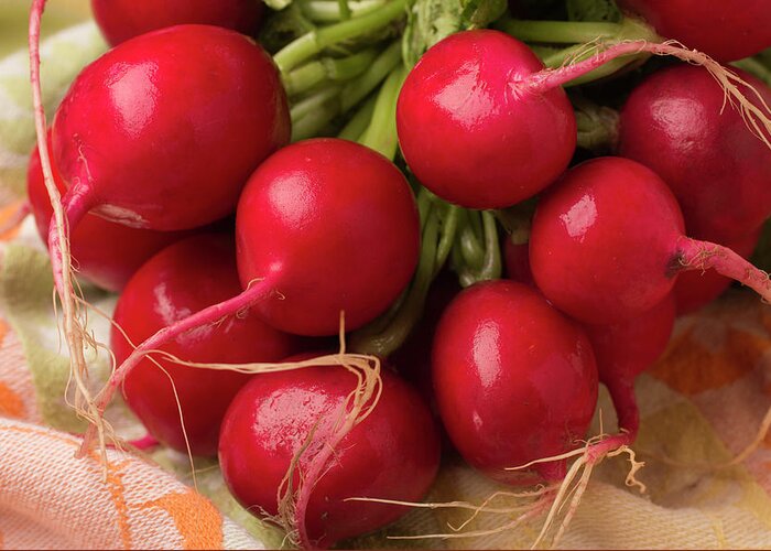 Season Greeting Card featuring the photograph A Bunch Of Fresh Radishes by Brian Yarvin