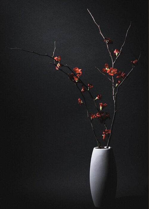 Vase Greeting Card featuring the photograph A Japanese Quince by Daisuke Kiyota
