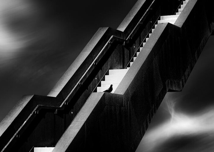 Stair Greeting Card featuring the photograph A Long Way ... by Marc Huybrighs