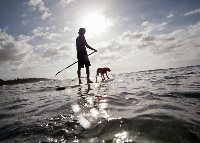 Pets Greeting Card featuring the photograph A Man And His Dog On A Stand Up Paddle by Noel Hendrickson
