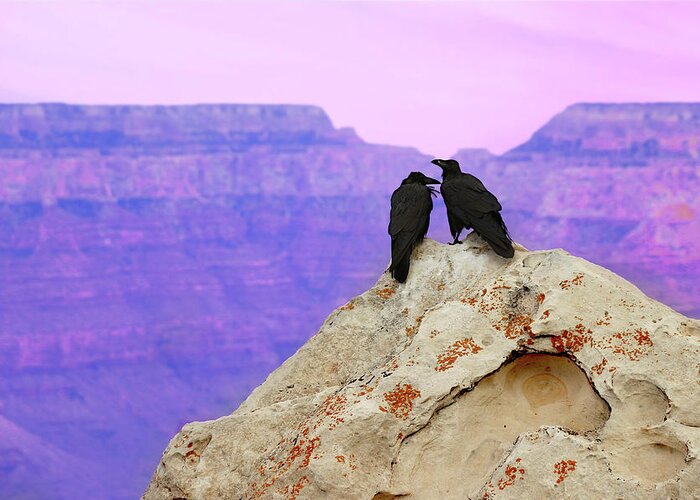 Grand Canyon National Park Greeting Card featuring the photograph A Purple Haze Story by Iryna Goodall